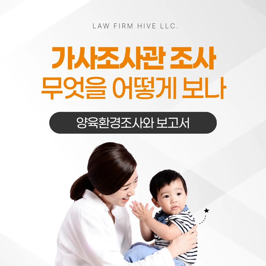 가사조사관 조사, 무엇을 어떻게 보나 — 양육환경조사와 보고서