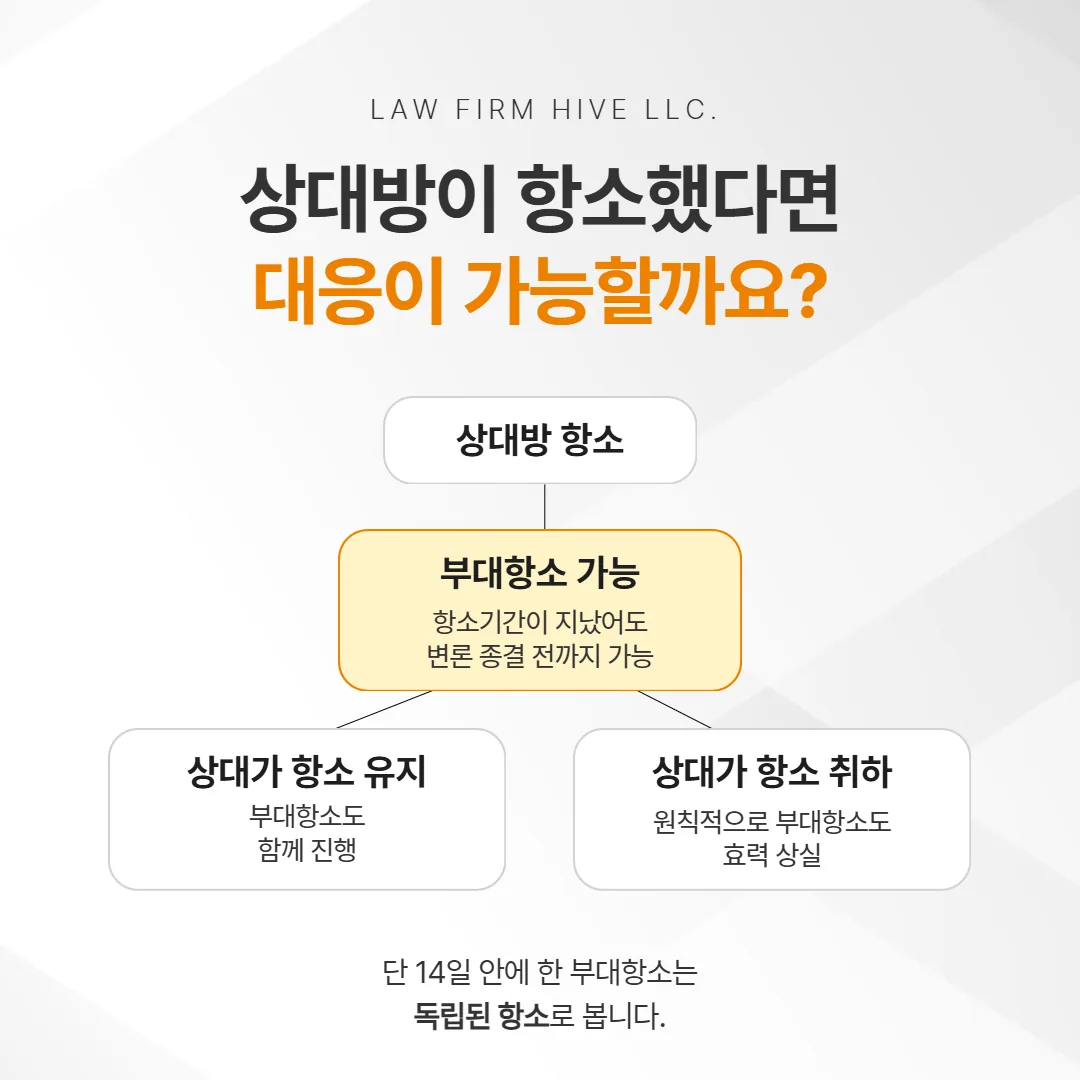 상대방 항소에 부대항소로 대응하는 절차 흐름도