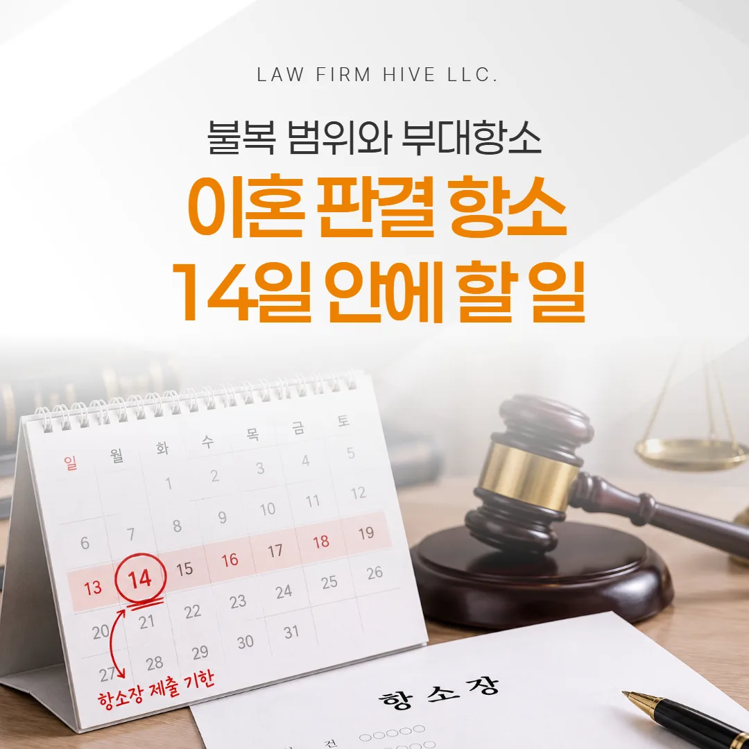 이혼 판결 항소, 14일 안에 할 일 — 불복 범위와 부대항소